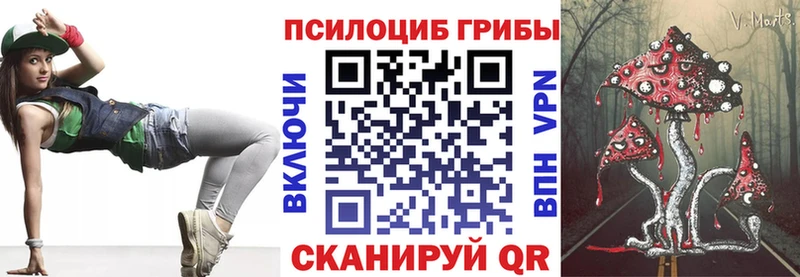 Псилоцибиновые грибы Psilocybe  закладка  Артёмовск 